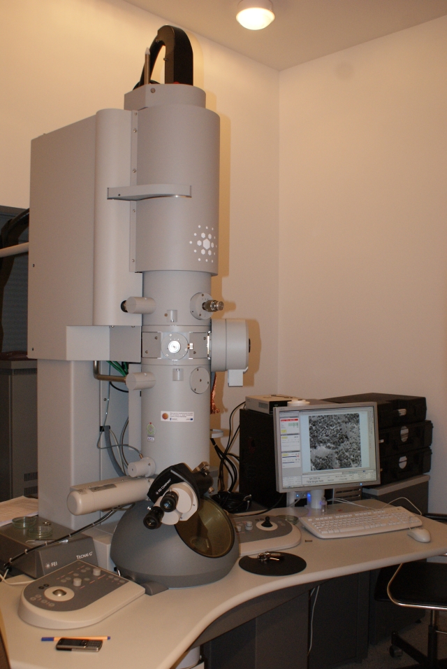 Seminarium preparatyki próbek w mikroskopii elektronowej